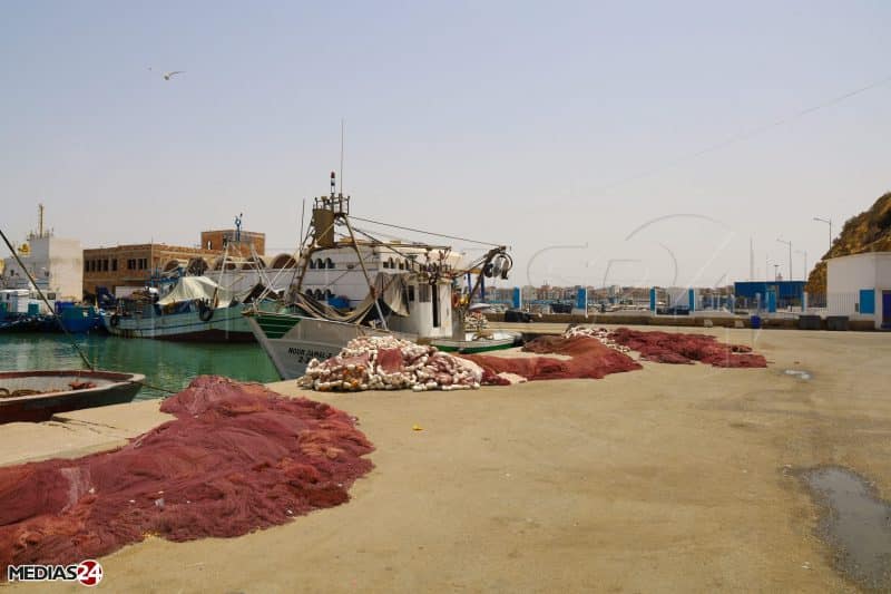 Le Maroc augmente son quota de l’espadon de l’Atlantique-Nord et du thon obèse