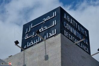 Aïd al-Adha : les abattoirs de Casablanca maintiennent leur activité pour les professionnels, pas d’opération spéciale pour les particuliers