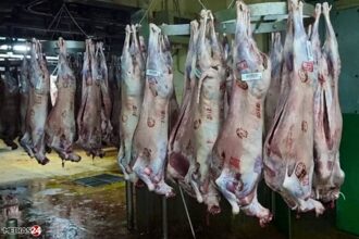 Abattoirs : mise en place d’une nouvelle salle dédiée à la vente des tripes à Casablanca