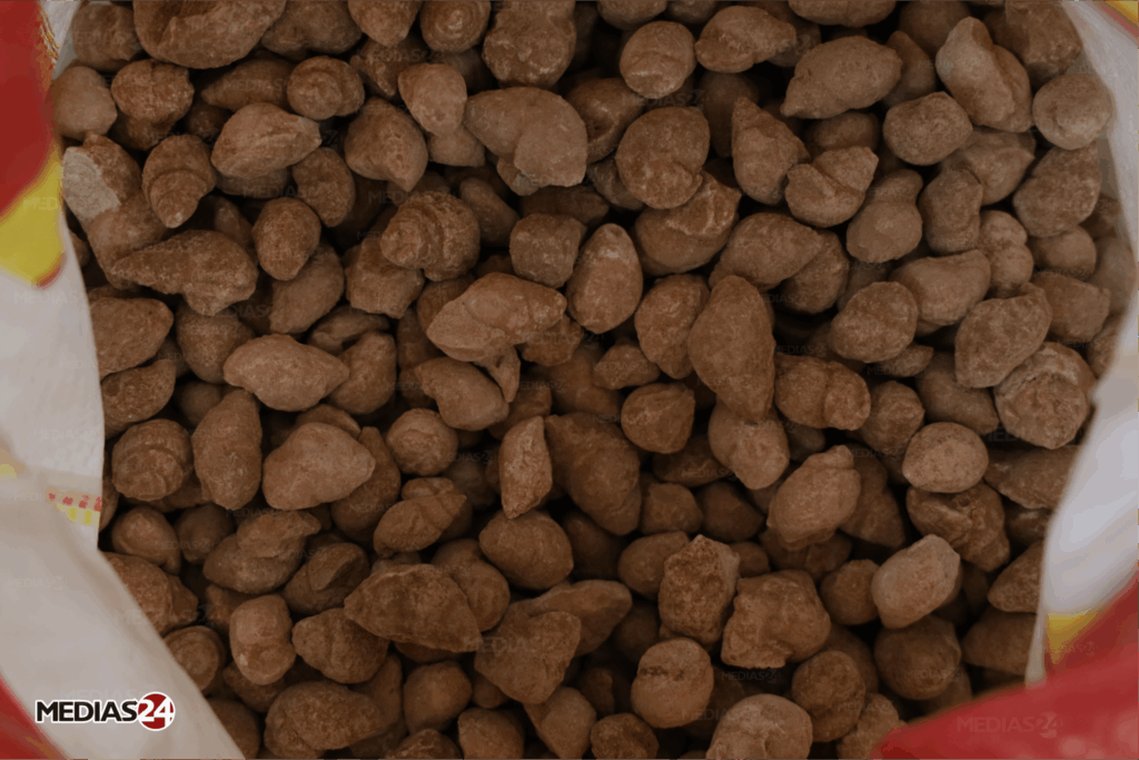 Fossiles. Serait-il possible de valoriser ce commerce au Maroc ?