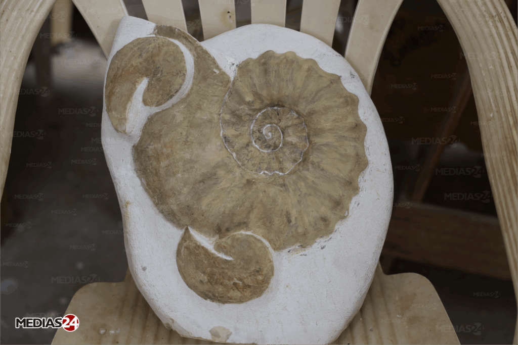 Fossiles. Serait-il possible de valoriser ce commerce au Maroc ?