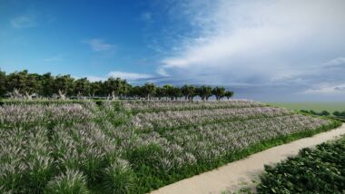 Réhabilitation de l’ancienne décharge de Médiouna : la plantation des espaces verts achevée dans trois mois