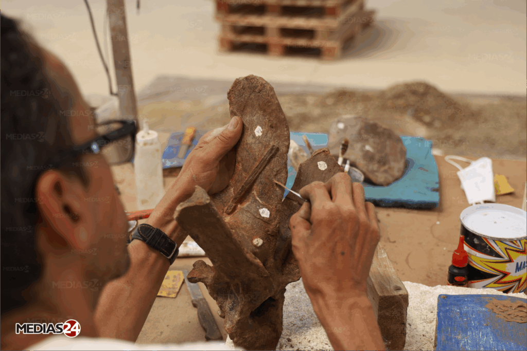 Fossiles. Serait-il possible de valoriser ce commerce au Maroc ?