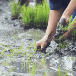 Pr Larbi Zagdouni : &ldquo;Il faut maîtriser la demande en eau dans son ensemble&rdquo;