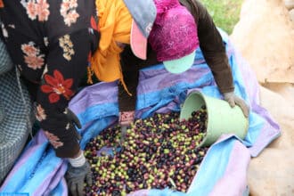 Emploi. En 2023, plus d’un tiers de la population active se trouvait dans l’informel (38,8%)