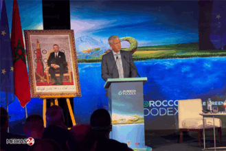 &ldquo;Le Green Deal&rdquo; européen, une opportunité pour moderniser l'agriculture marocaine et renforcer sa compétitivité (Sadiki)