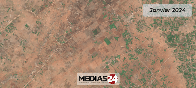 Campagne agricole : le retard des cultures vu du ciel (images satellites)