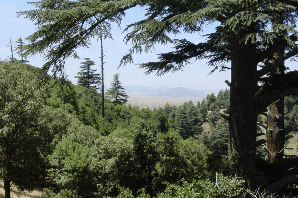 Parcs nationaux. Comment le Maroc compte proposer une offre écotouristique attrayante