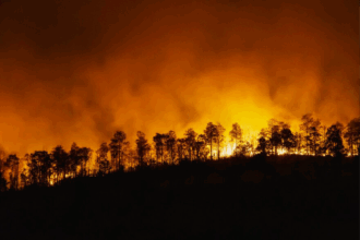 Risques d'incendies de forêt dans plusieurs provinces au Maroc (liste)