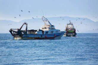 11 MDH pour l'observation scientifique des activités de pêche en mer le long du littoral marocain