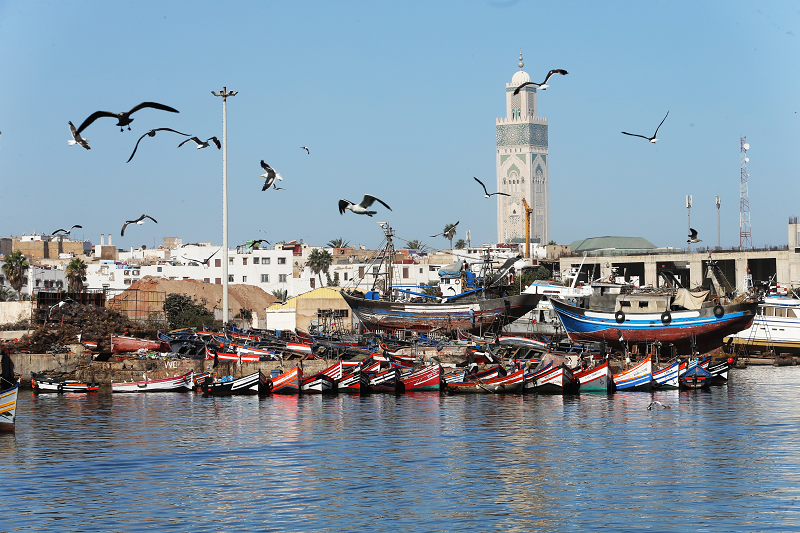 Zakia Driouich : &ldquo;La durabilité de 95% des pêcheries à valeur commerciale est assurée&rdquo;