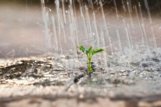 Au 14 mars 2025, un cumul de pluie en hausse continue dans la plupart des régions