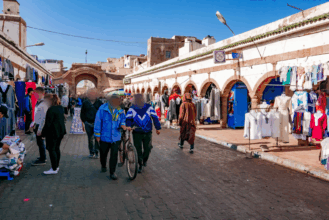 Aides sociales directes : plus de 3 millions de demandes reçues au 24 janvier 2024