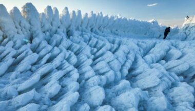 24 heures d'actualité en images