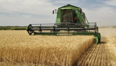 Hors agriculture, accélération de la croissance en 2014