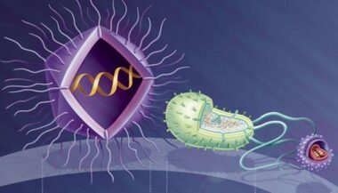 24 heures d'actualité en images