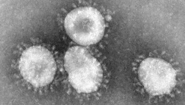 L’épidémie de coronavirus suscite des interrogations sur le Hajj et la Omra