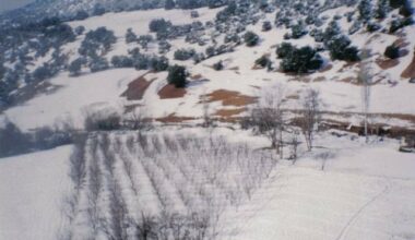 Imouzzer Marmoucha, un no man's land marocain