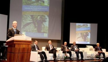 Plus de 2.500 cas de leishmaniose cutanée au Maroc en 2013