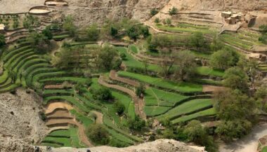 D’ici 2020, 500.000 hectares de terres agricoles publiques seront loués au privé