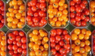 Maroc-UE, les explications du négociateur marocain des accords de 2003