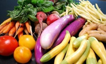 Avec 800.000 tonnes exportées, la campagne de primeurs a été correcte