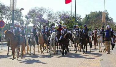 Le fiasco du Festival international du cheval de Meknès