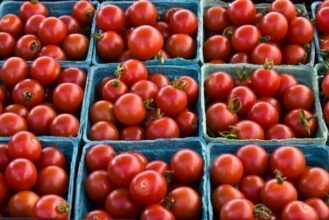 La tomate ronde de plus en plus chère : une situation qui risque de s'aggraver à l'approche du Ramadan