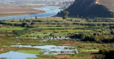 Bouregreg: Baignade interdite pour cause de… crocodile