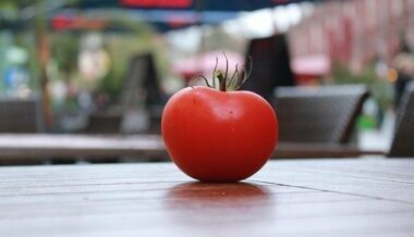 Fruits et légumes, l’UE accepte un système proposé par le Maroc