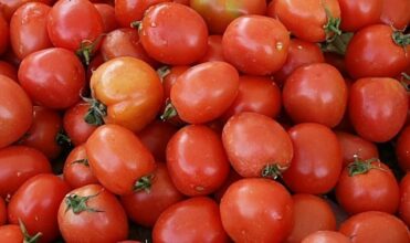 Fruits et légumes/UE: La profession entre soulagement et frustration