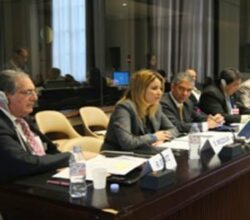 Sonia Mezzour parmi les 8 vice présidents de la Commission économique des Nations Unies pour l'Europe, bureau PPP