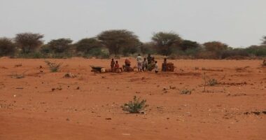FAO: 805 millions de personnes souffrent de la faim dans le monde