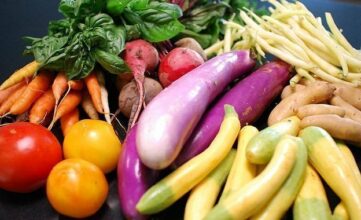 En 9 ans, les exportations marocaines de primeurs ont bondi de 29%