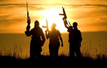 Le terrorisme a fait plus de 5.000 morts en novembre !