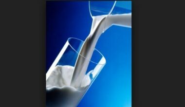 Best Milk toujours en redressement judiciaire