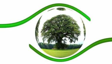 Entreprenariat vert: le Masen lance le programme i-Nergy