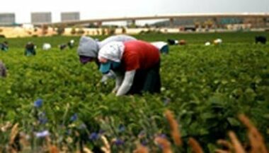 Le Crédit agricole lance une caravane pour les jeunes ruraux