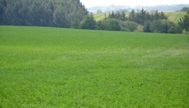 Naissance de la “CGEM“ de l’agriculture