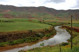 L'irrigation par téléphone bientôt au Maroc