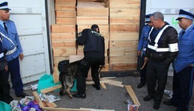 657 kg de cannabis saisis au port de Casablanca