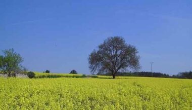 Météo: Le &ldquo;printemps&rdquo; annoncé pour vendredi prochain
