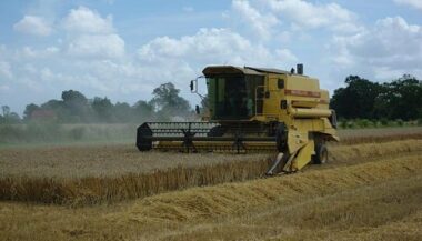 Campagne 2023-2024 : les images satellitaires de la production agricole des principaux périmètres