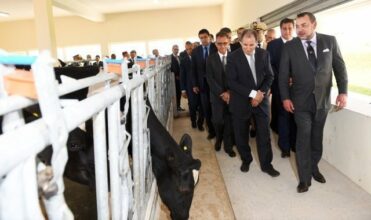 Un centre technique et un laboratoire pour Maroc Vert