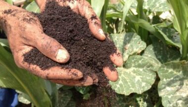 Maroc-Nigeria: mémorandum d'entente pour la recherche en biotechnologies