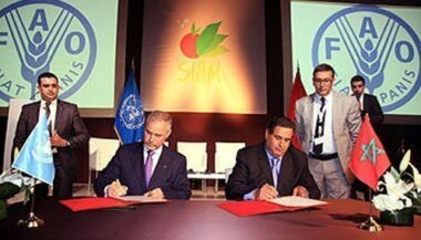 Maroc-FAO: un plan d'action contre le gaspillage alimentaire