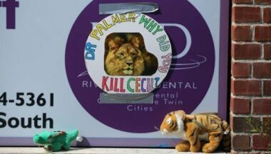 Demande d'extradition du tueur du lion Cecil