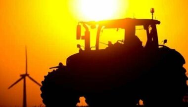 Les prix agricoles mondiaux au plus bas depuis 7 ans