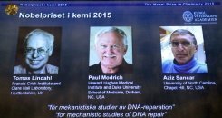 Le Nobel de chimie récompense des travaux sur l'ADN utiles contre le cancer