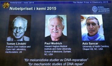 Prix Nobel de médecine, de physique et de chimie: qu’a-t-on récompensé?